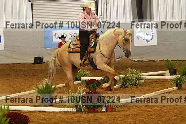 Proof 10usn_07224