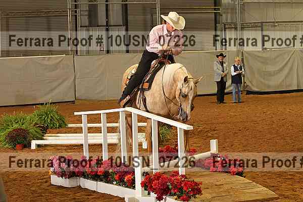 Proof 10usn_07226