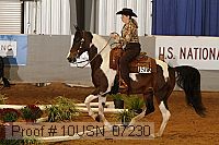 10usn_07230 proof