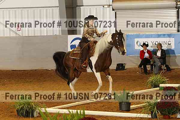 Proof 10usn_07231