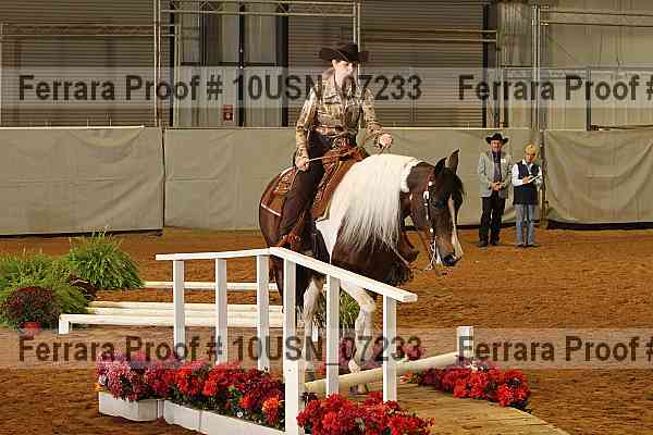 Proof 10usn_07233
