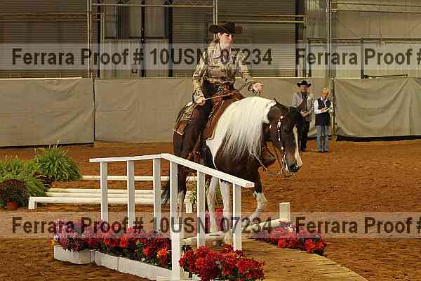 Proof 10usn_07234