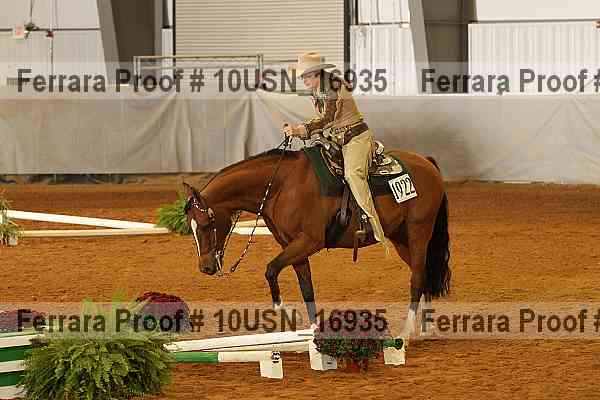 Proof 10usn_16935