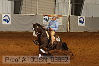 10usn_03832 proof