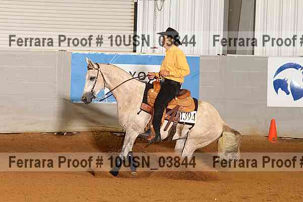 Proof 10usn_03844