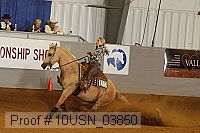 10usn_03850 proof