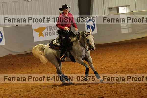 Proof 10usn_03875