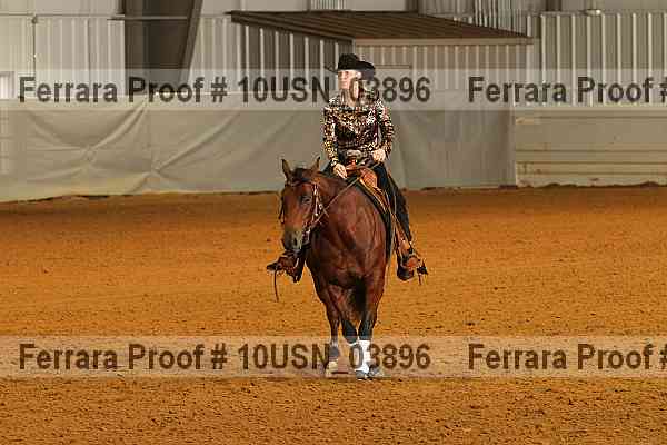 Proof 10usn_03896
