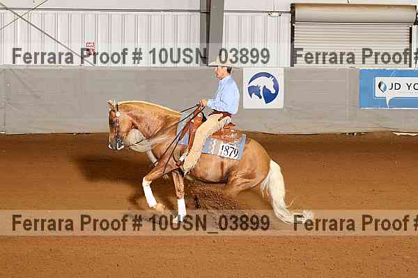 Proof 10usn_03899