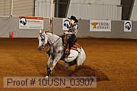 10usn_03907 proof