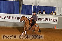 10usn_03924 proof