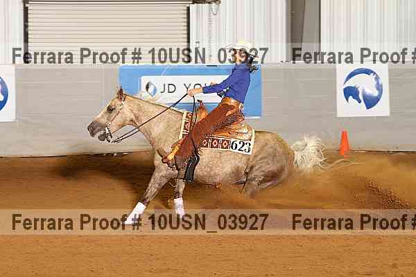 Proof 10usn_03927