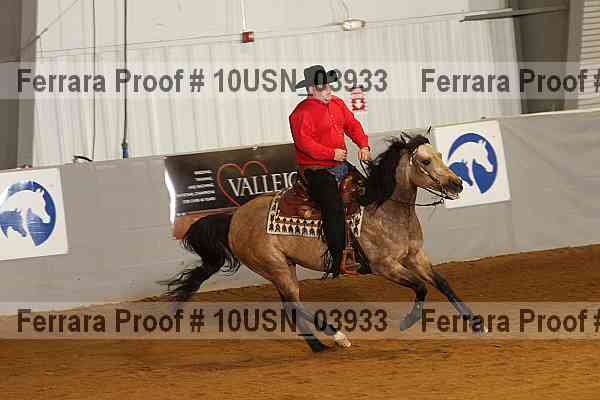 Proof 10usn_03933