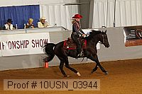 10usn_03944 proof