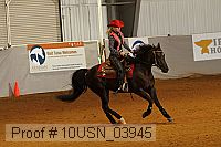 10usn_03945 proof