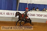10usn_03947 proof