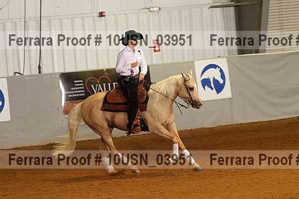 Proof 10usn_03951