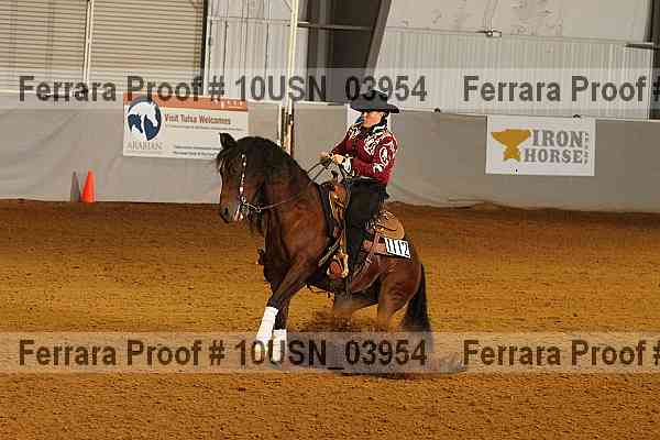 Proof 10usn_03954
