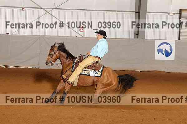 Proof 10usn_03960