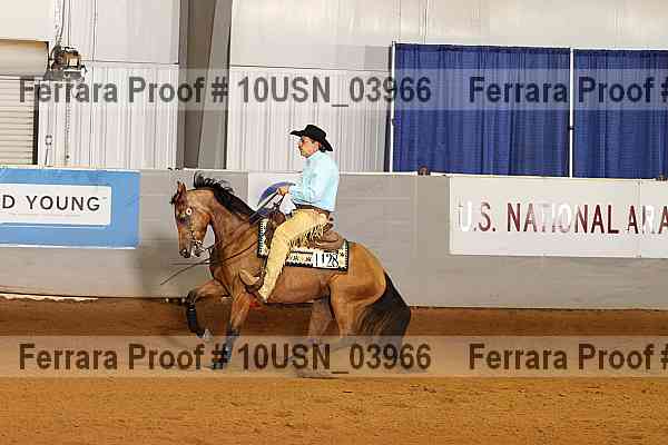 Proof 10usn_03966