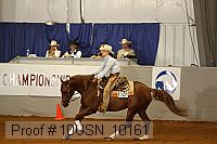10usn_10161 proof