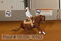 10usn_10163 proof