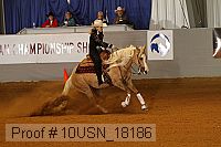10usn_18186 proof