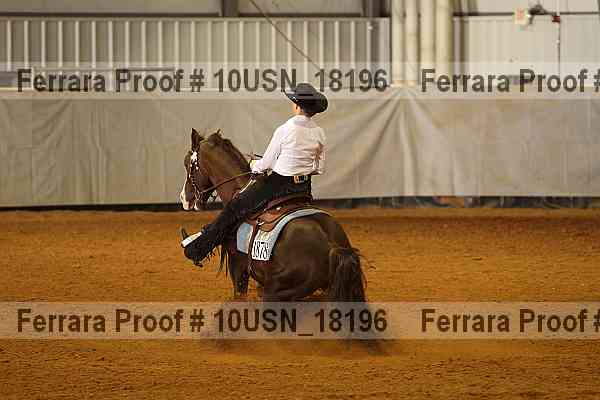 Proof 10usn_18196