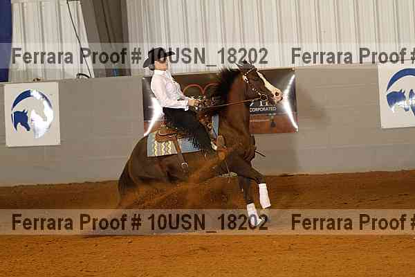 Proof 10usn_18202