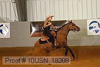 10usn_18208 proof
