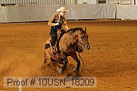 10usn_18209 proof