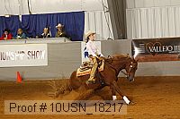 10usn_18217 proof