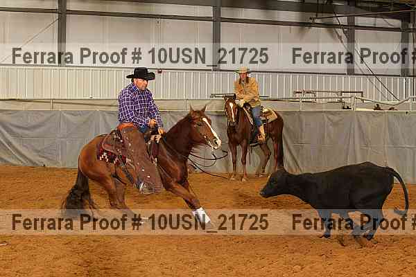 Proof 10usn_21725