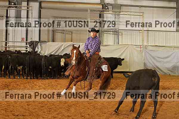Proof 10usn_21729