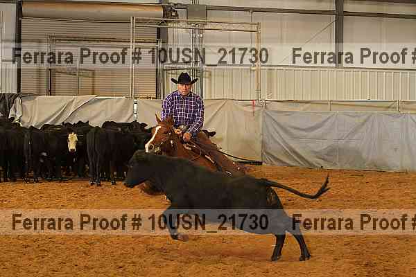 Proof 10usn_21730