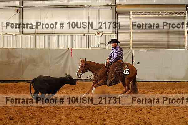 Proof 10usn_21731