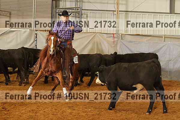 Proof 10usn_21732