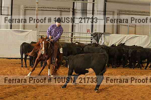 Proof 10usn_21733