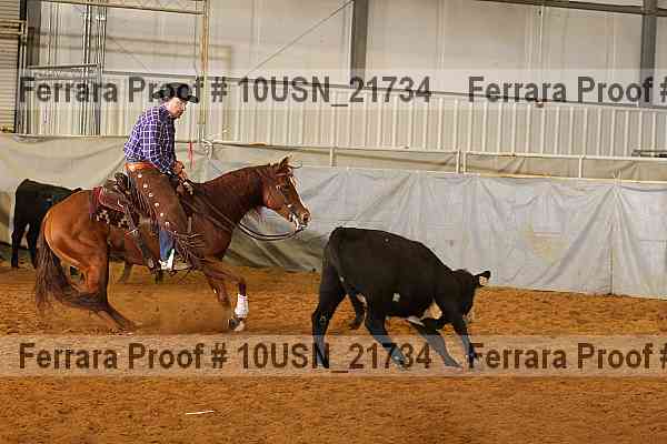Proof 10usn_21734