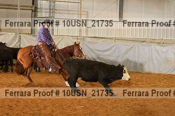 Proof 10usn_21735