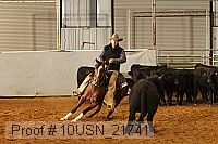 10usn_21741 proof