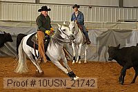 10usn_21742 proof