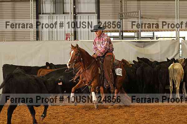Proof 10usn_24856