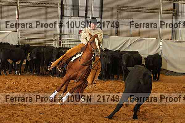 Proof 10usn_21749
