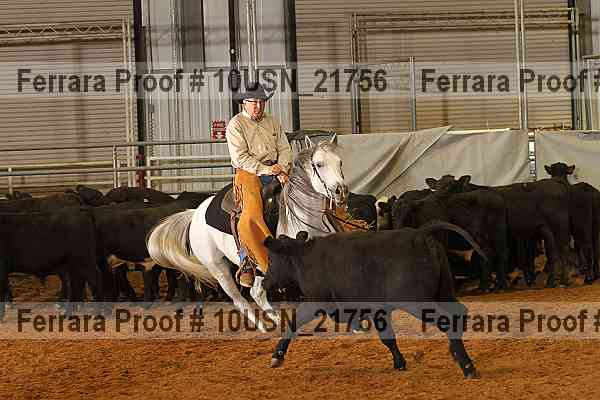 Proof 10usn_21756