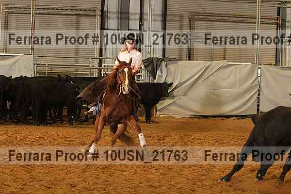 Proof 10usn_21763