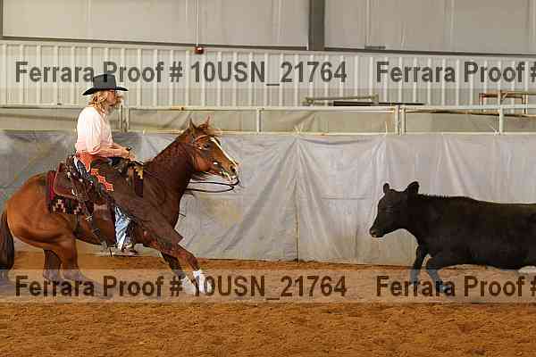 Proof 10usn_21764