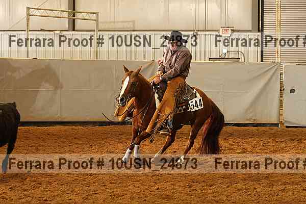Proof 10usn_24873
