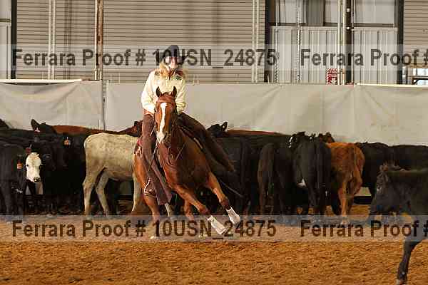Proof 10usn_24875