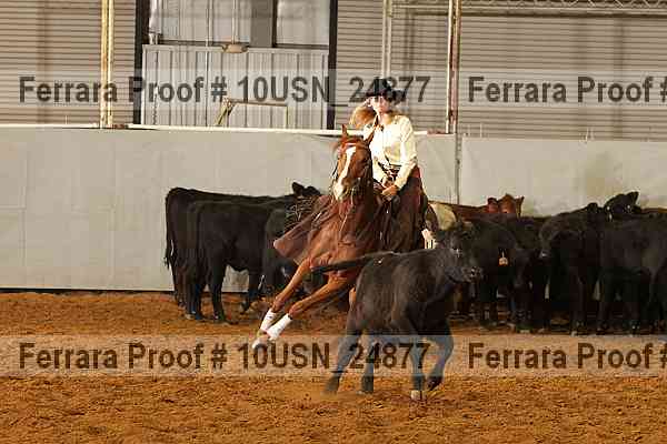 Proof 10usn_24877